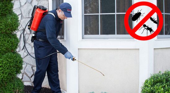 Darende Kemirgen İlaçlama böcek ilaçlama ve haşere kontrolü — ilaclama-tr.com